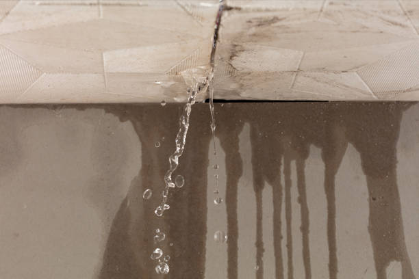 Professional Structural Drying technician working in Medina, TX